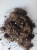 орхидея.-3 орхидея.-3
